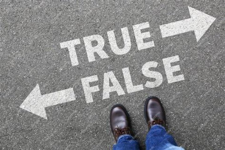 Unraveling The Truth Amidst Falsehood